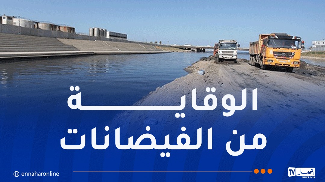 صورة الخبر