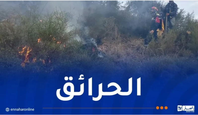 صورة الخبر