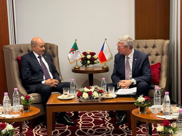 وزير الصناعة يجري محادثات مع الوزير الأول لجمهورية التشيك