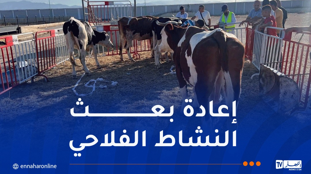 تعويض الفلاحين المتضررين من حرائق الغابات بولايتي جيجل وبجاية