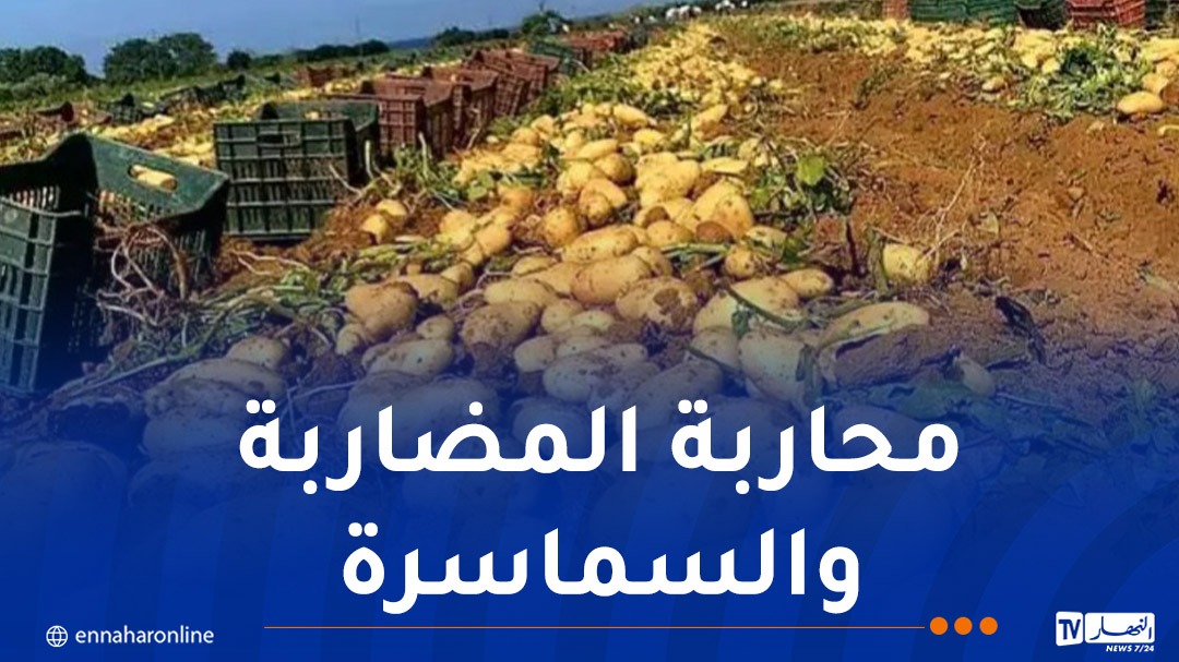 صورة الخبر