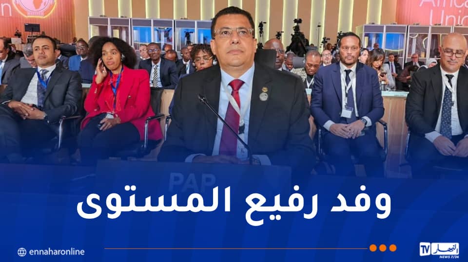 رئيس البرلمان الإفريقي يشارك في الاجتماع التنسيقي الثامن لمنتصف العام للاتحاد الإفريقي بمصر