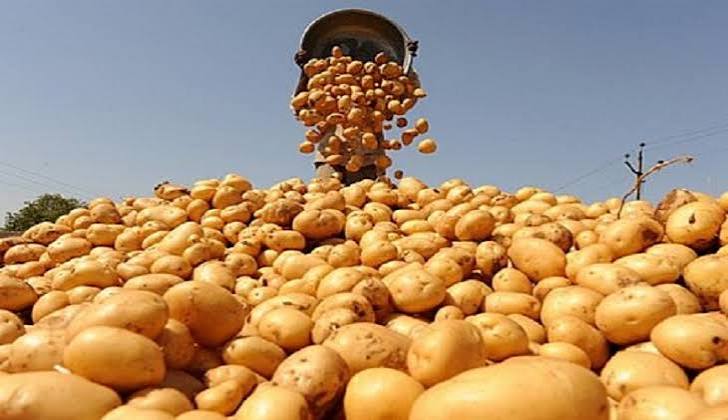 صورة الخبر