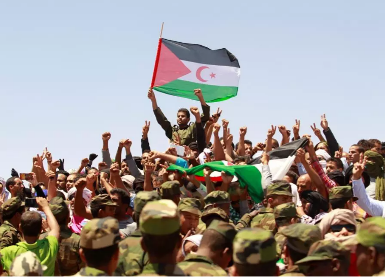 مسؤول صحراوي: الأمم المتحدة انتصرت للشرعية الدولية