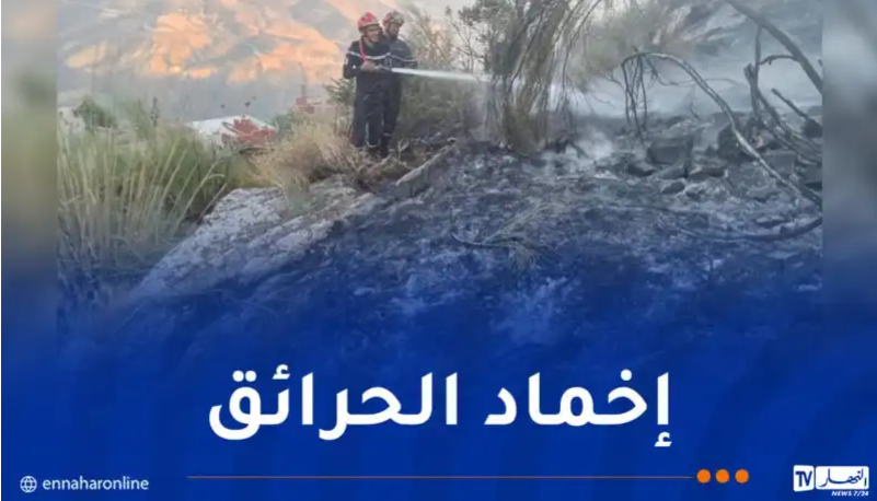 صورة الخبر